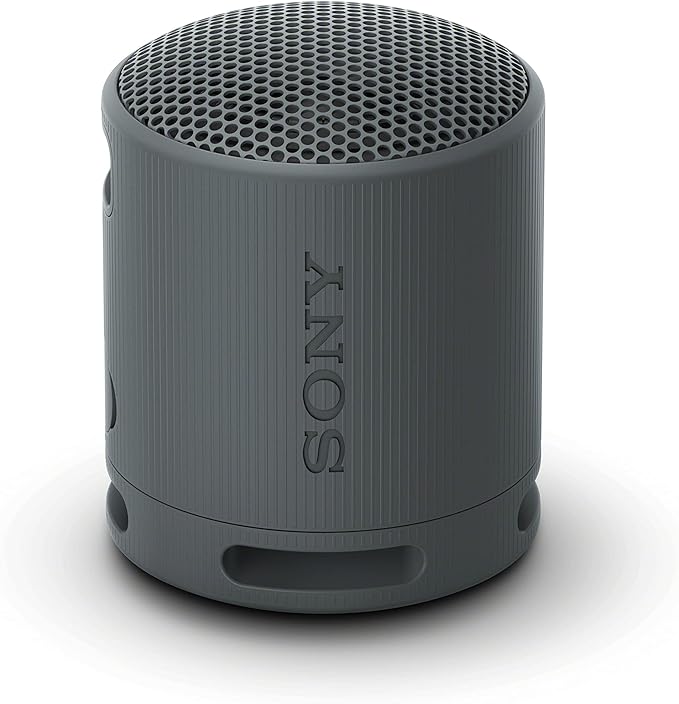 Sony XB100