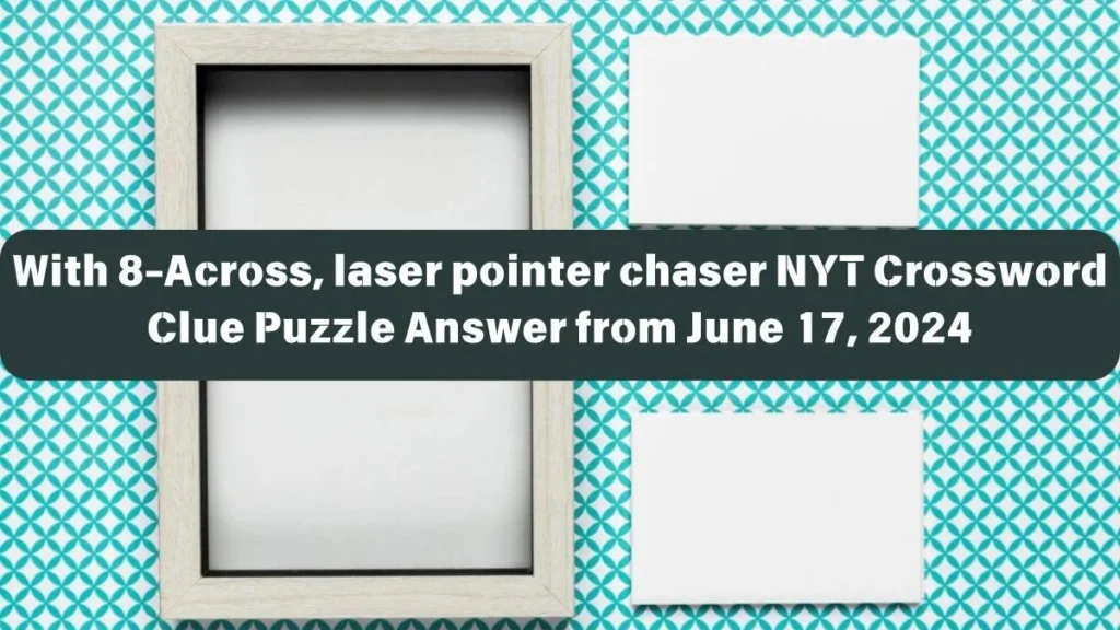 Laser Pointer Chaser Nyt